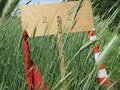 <b>Konkurs rozegraliśmy w pięknych okolicznościach przyrody :).</b> (fot. Rafał Kobyłecki)