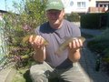 JAR-FISH Jarocin