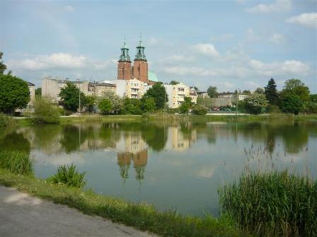 jelonek1.jpg