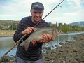 Kolo PZW Bielsko-Biala Zimorodek