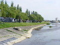 Sekcja karpiowa