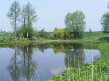 Chomiczyzna