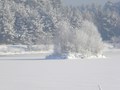 Kolo PZW Bilgoraj  "Czarna Lada"