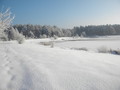 Kolo PZW Bilgoraj  "Czarna Lada"