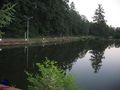 Staw sekcji Kolejarz