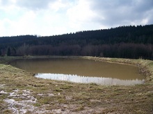 Sttaw nr4 Sttaw nr4