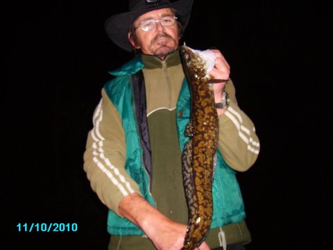 pict1695.jpg pict1695.jpg
