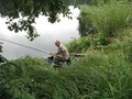 Kolo MAG ZLOTA KACZKA Pila