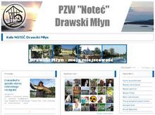 www zewn