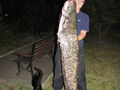 Sum 150 cm 21,5 kg