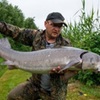 mariusz74